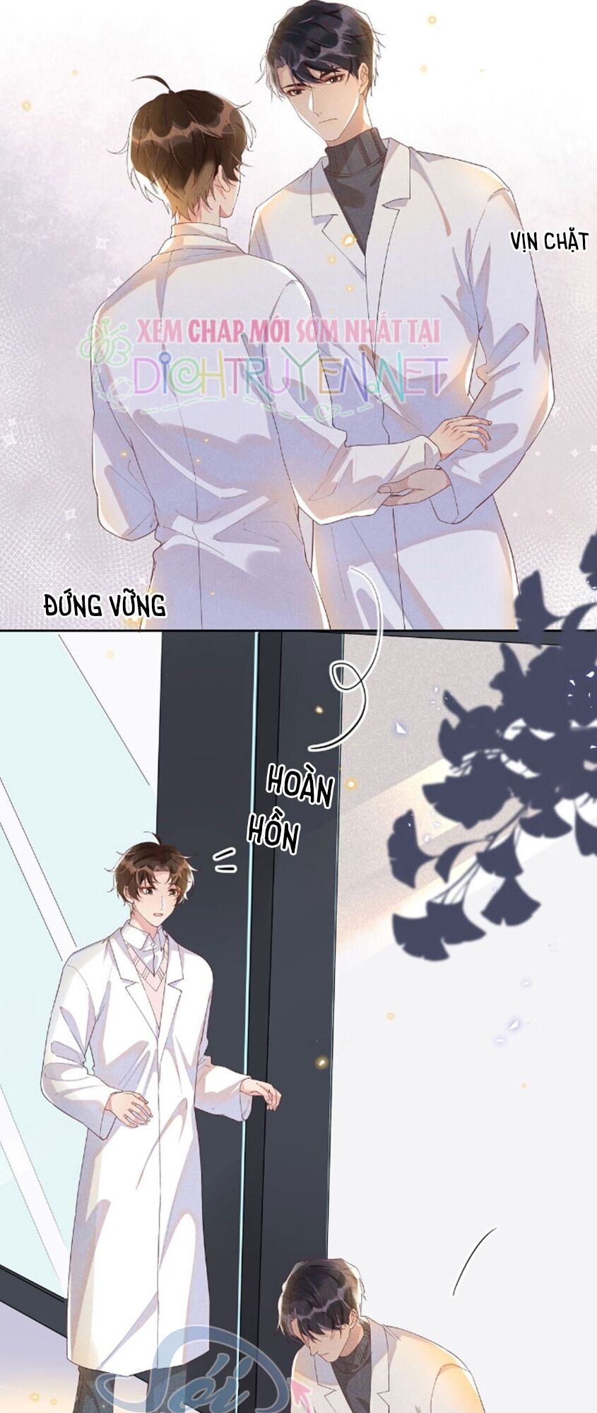 Nhiệt độ xã giao: Chapter 26