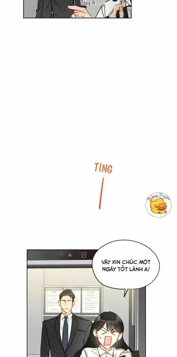 Hẹn Hò Nơi Công Sở: Chapter 5