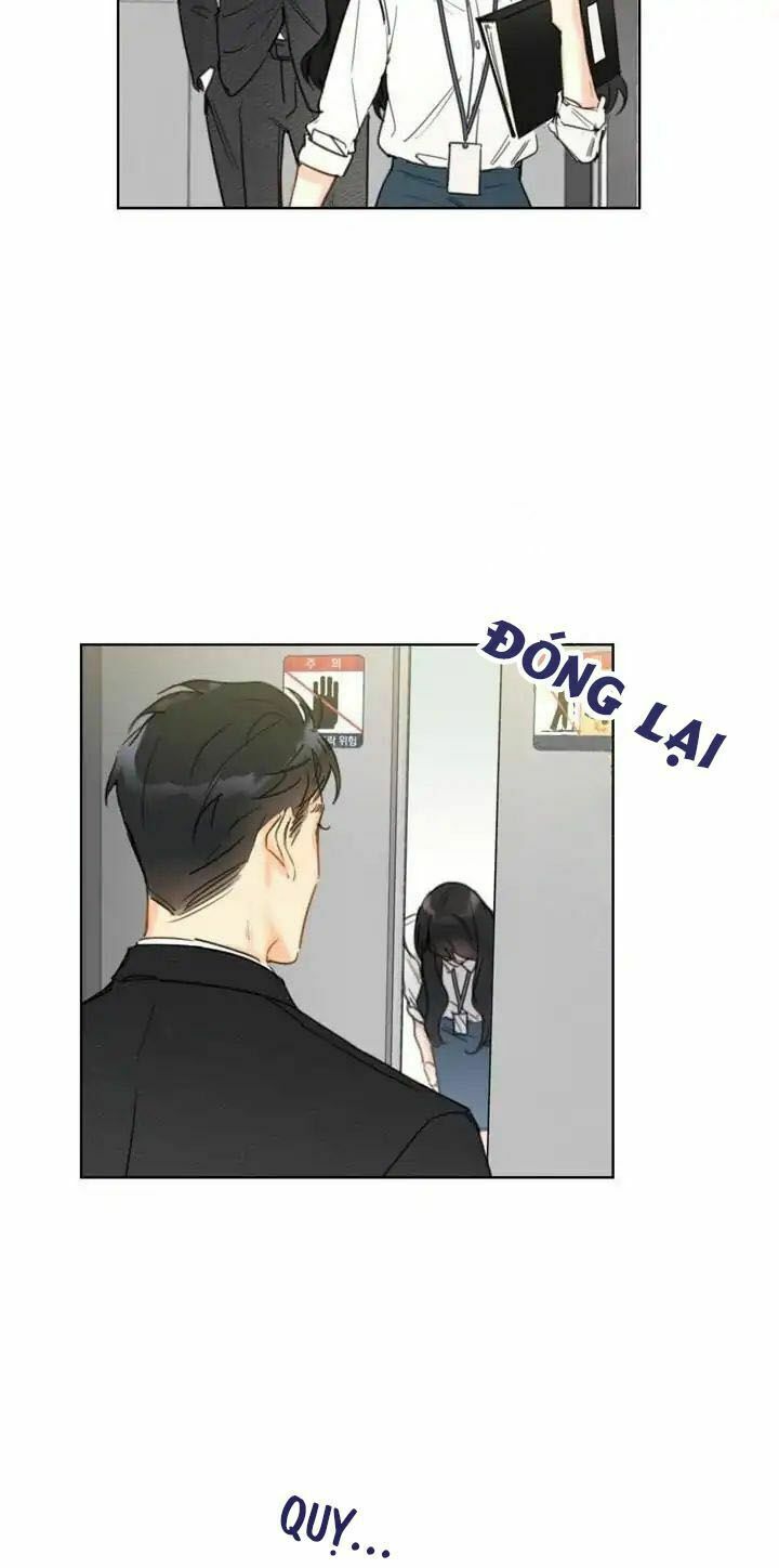 Hẹn Hò Nơi Công Sở: Chapter 5