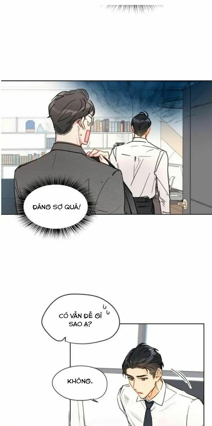 Hẹn Hò Nơi Công Sở: Chapter 5