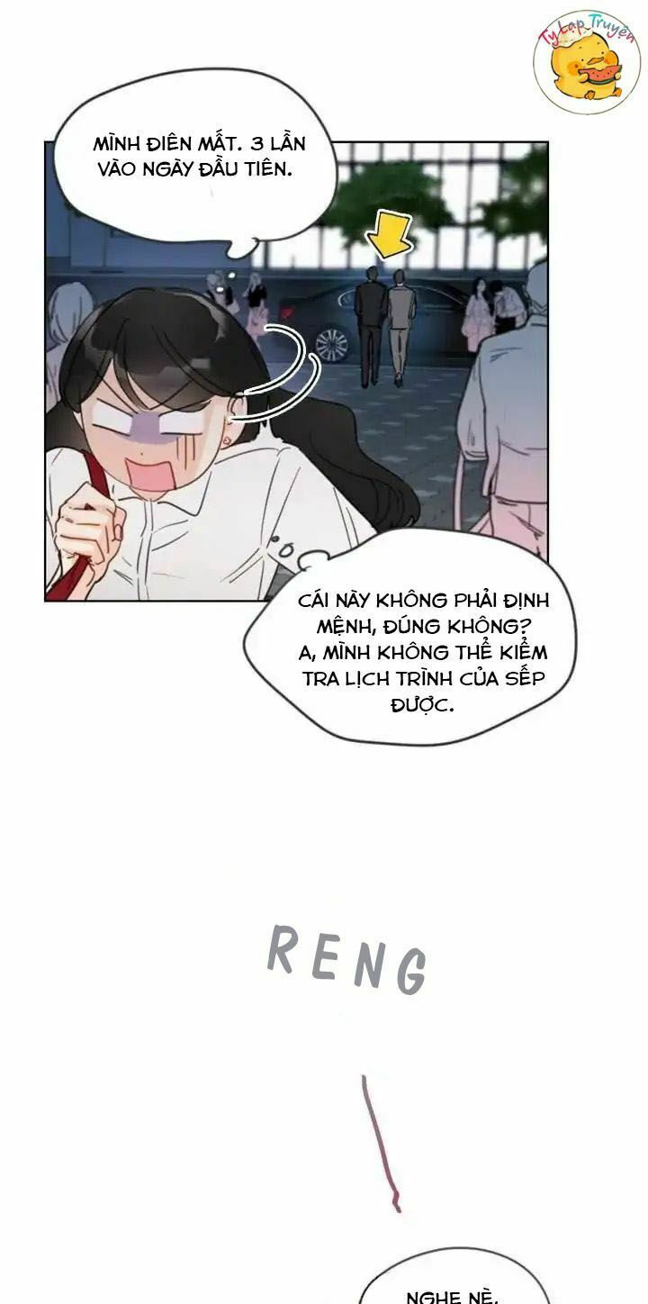 Hẹn Hò Nơi Công Sở: Chapter 5