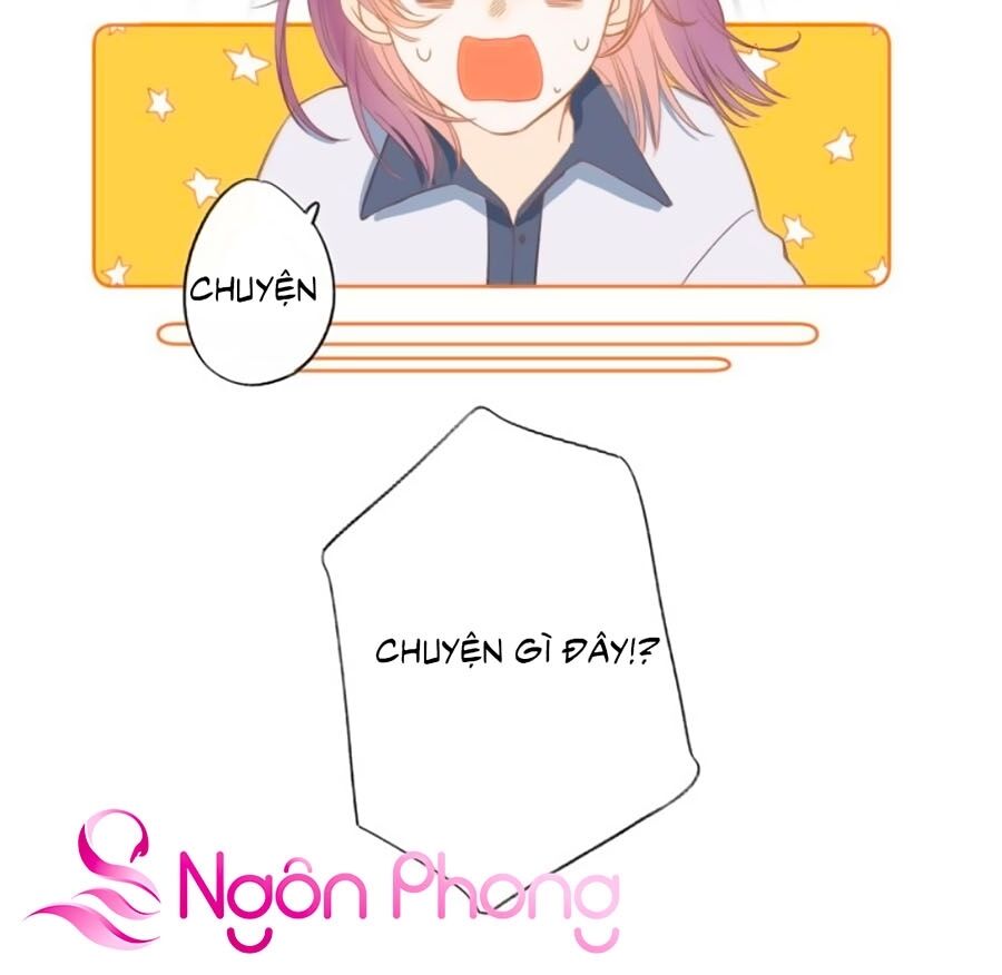 Quả Táo Của Anh: Chapter 1.1