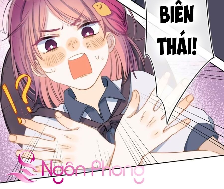 Quả Táo Của Anh: Chapter 1.2
