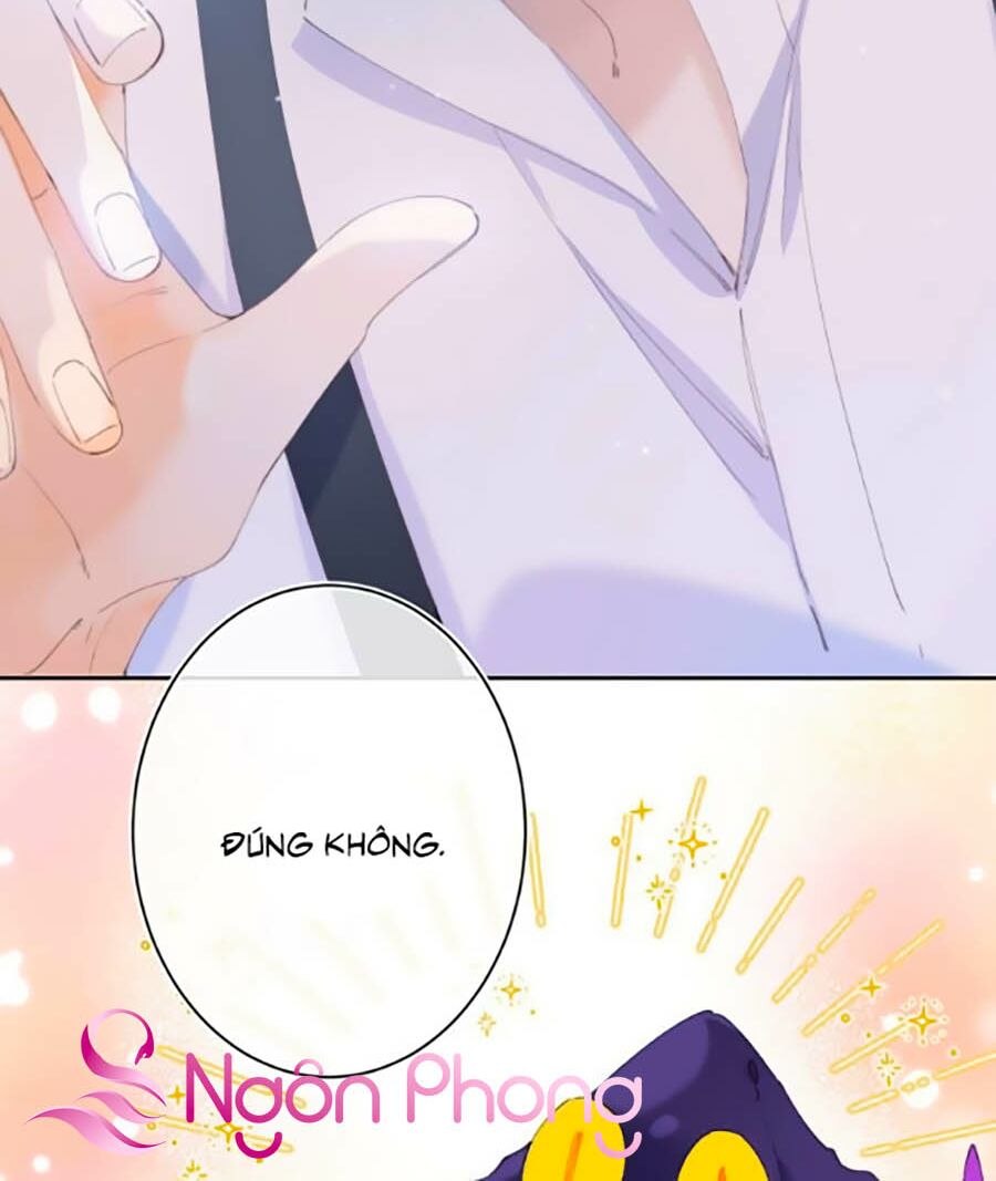 Quả Táo Của Anh: Chapter 13