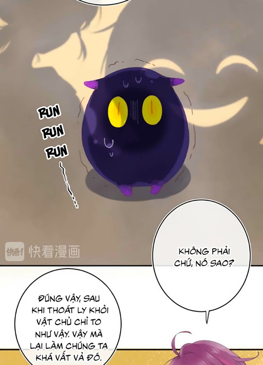 Quả Táo Của Anh: Chapter 13