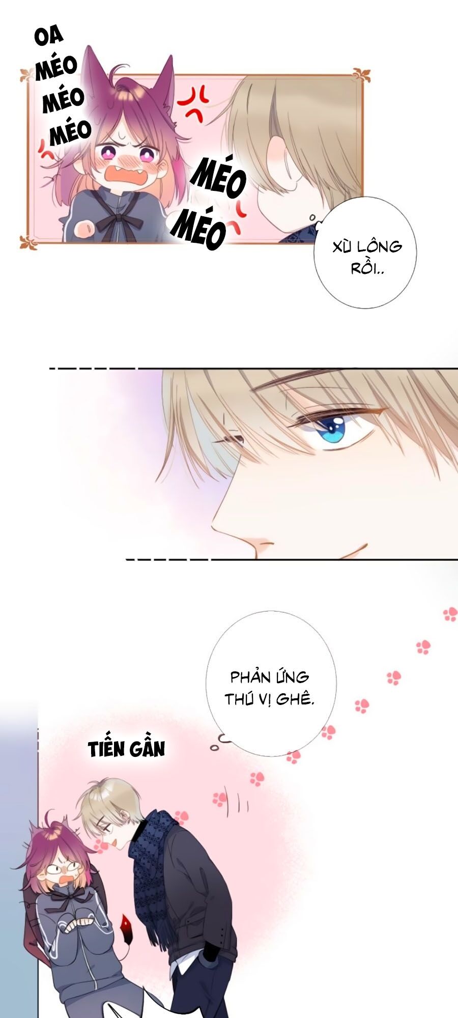 Quả Táo Của Anh: Chapter 2.1