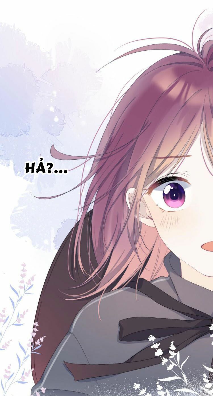 Quả Táo Của Anh: Chapter 4.1