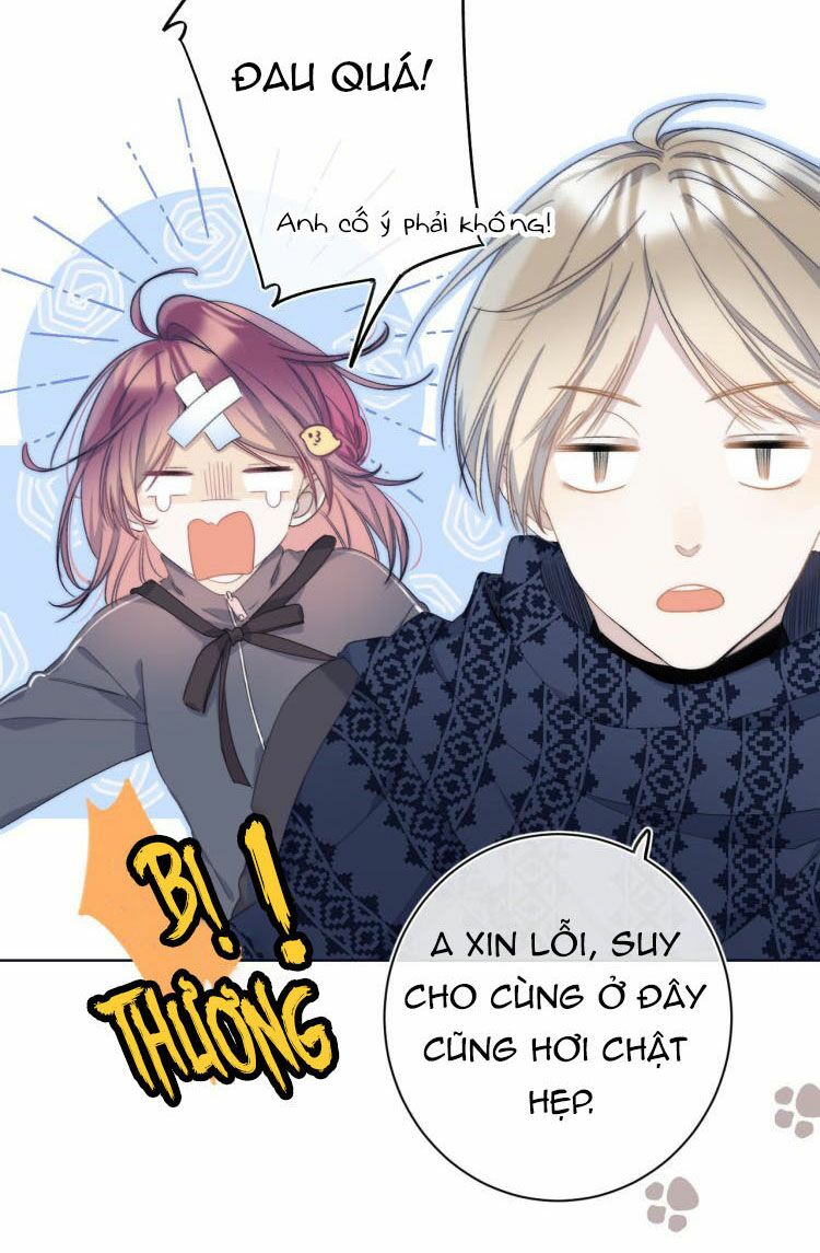 Quả Táo Của Anh: Chapter 4.1