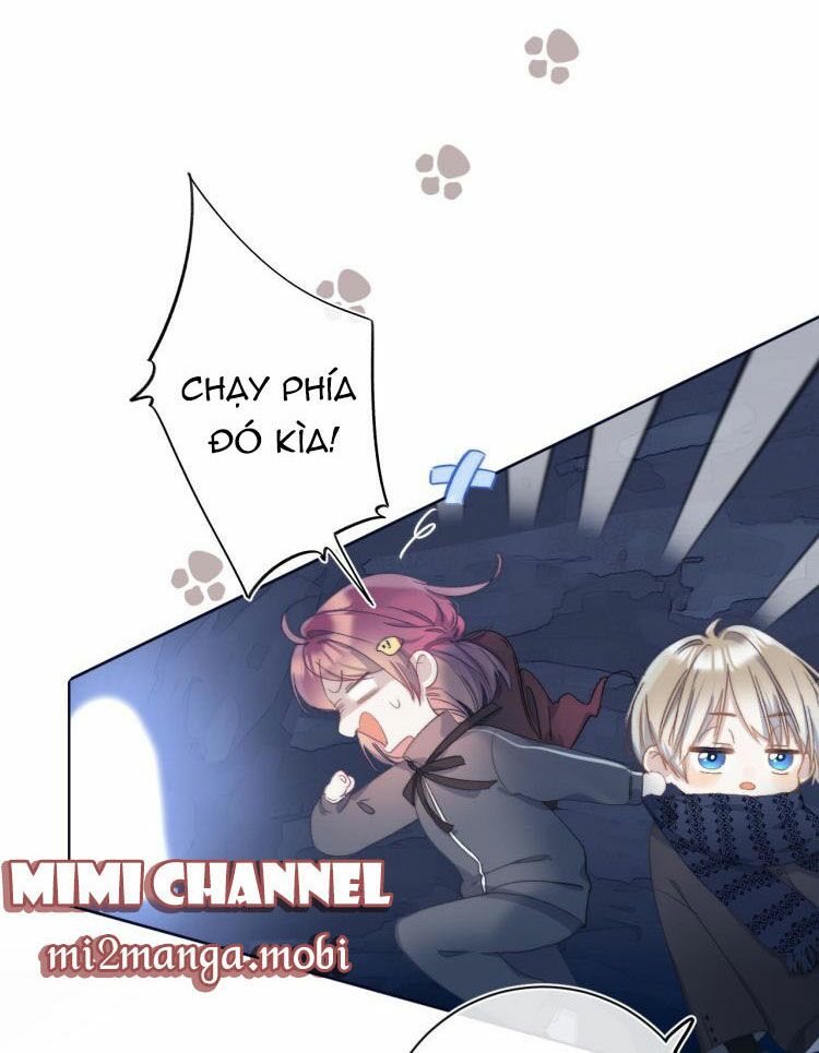 Quả Táo Của Anh: Chapter 4.1
