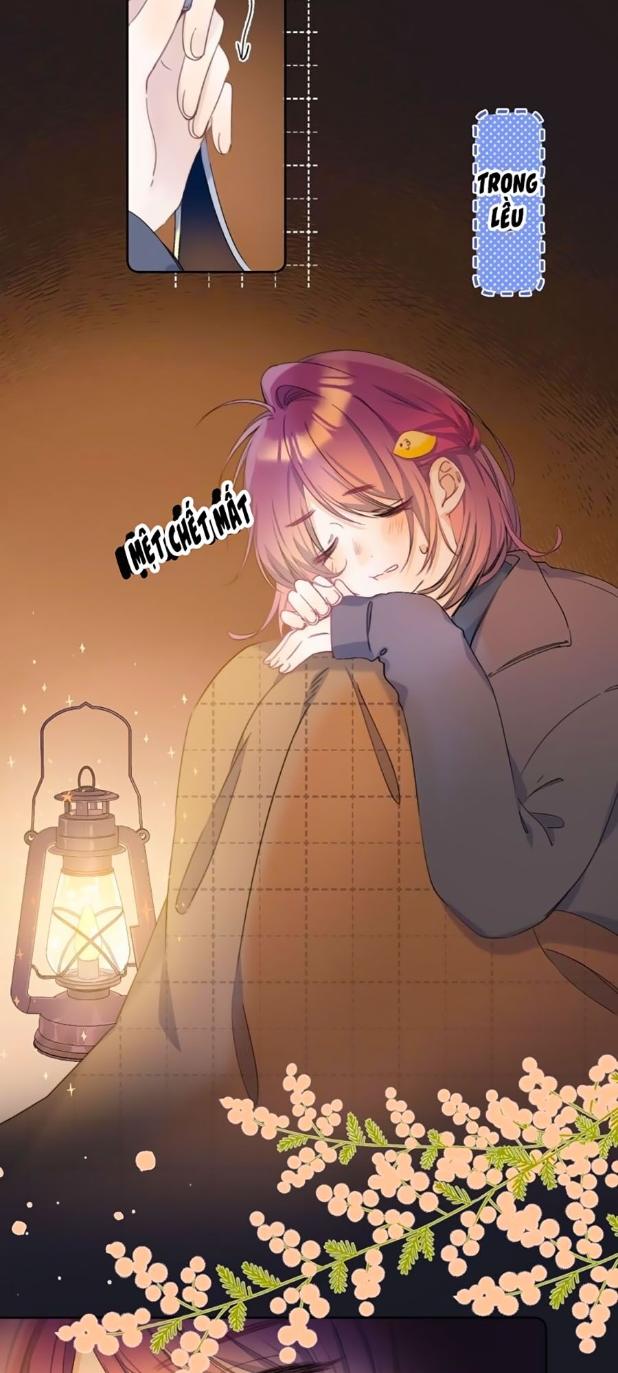 Quả Táo Của Anh: Chapter 6
