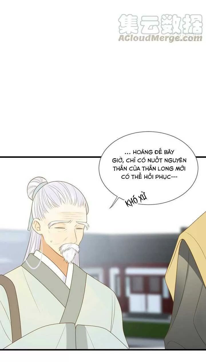 Sinh Hạ Long Chủng: Chapter 147: Vĩnh viễn bồi bạn