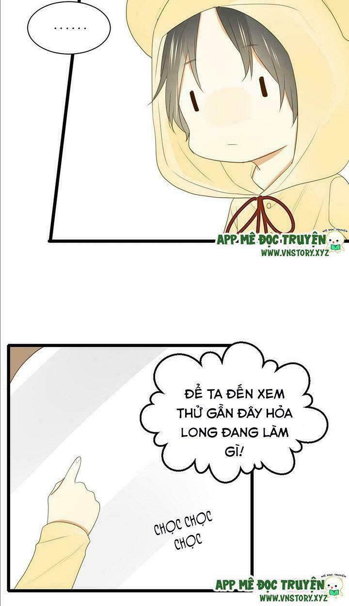 Sinh Hạ Long Chủng: Chapter 34: Một ngày cố gắng