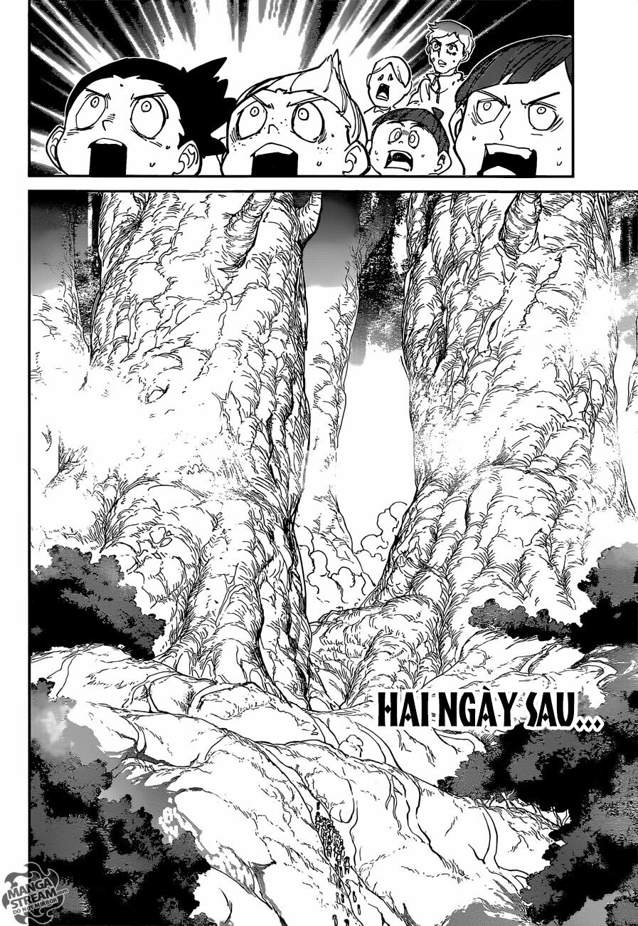 Miền Đất Hứa: Chapter 118