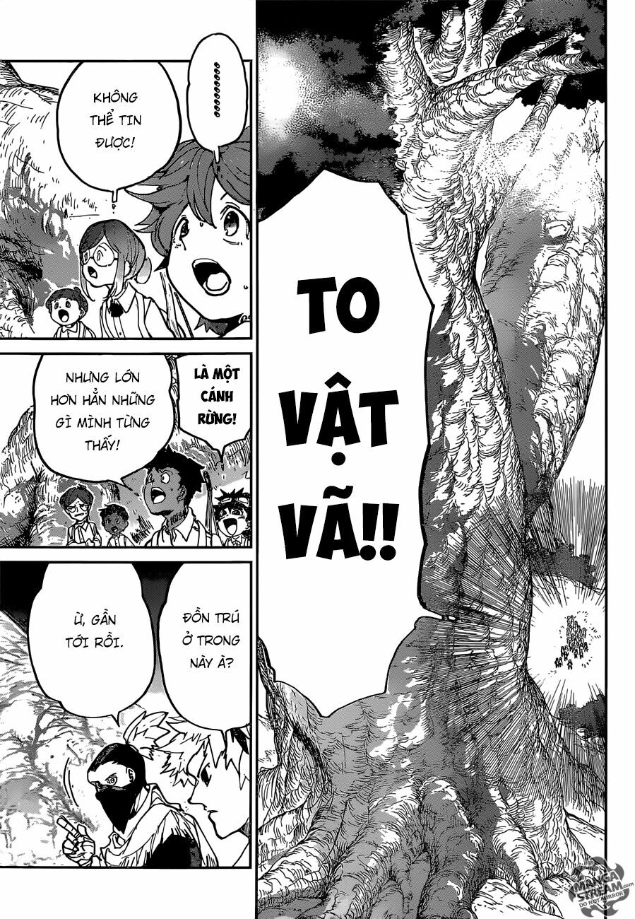 Miền Đất Hứa: Chapter 118