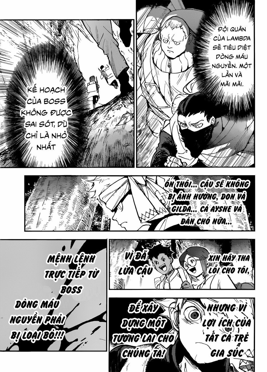Miền Đất Hứa: Chapter 143