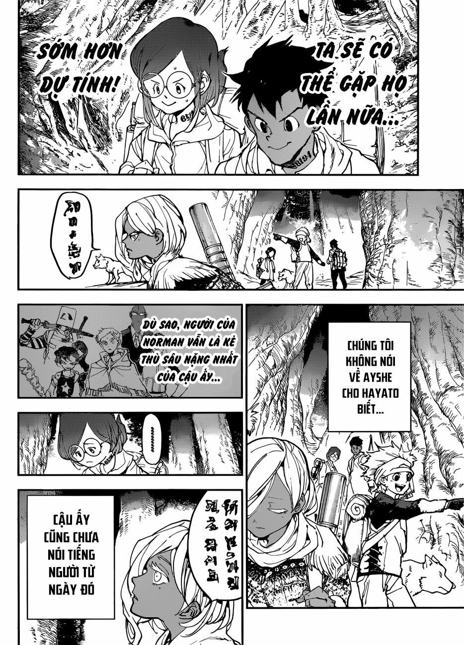 Miền Đất Hứa: Chapter 143