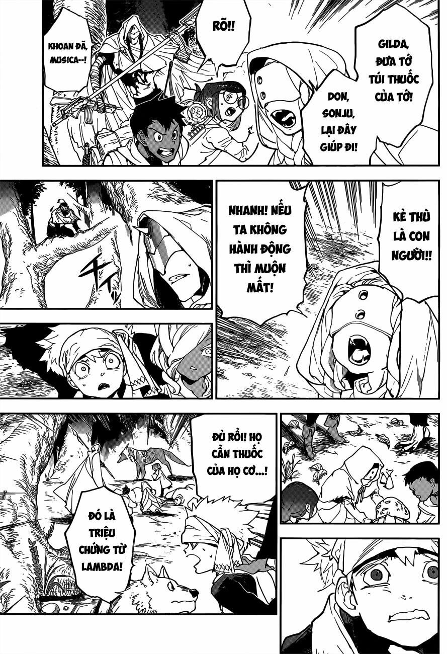 Miền Đất Hứa: Chapter 144
