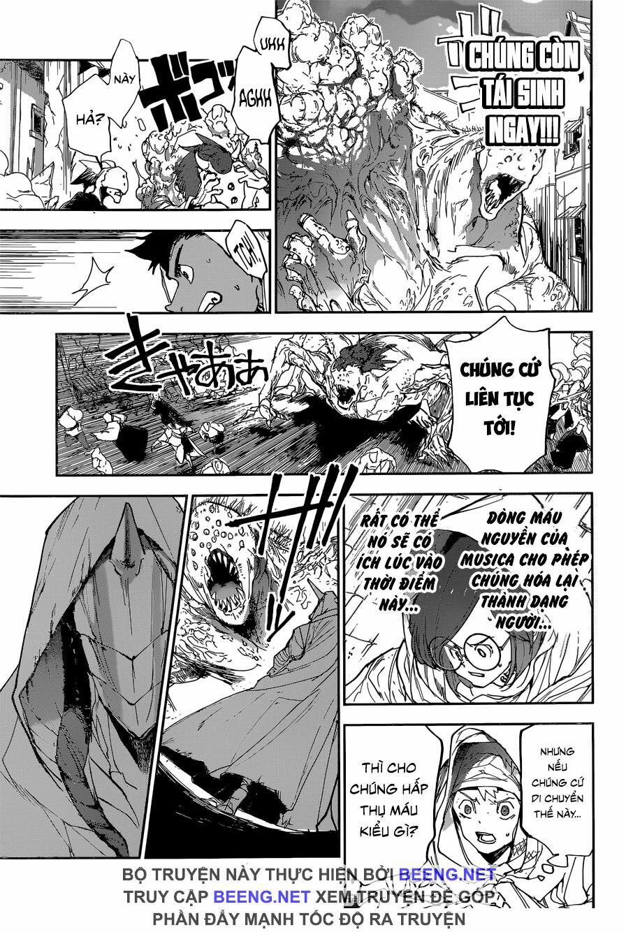 Miền Đất Hứa: Chapter 155