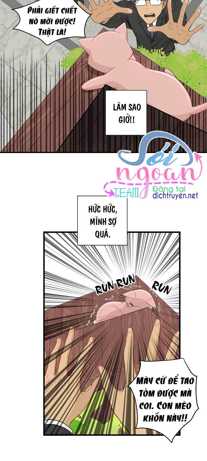 Cuộc sống kỳ thú: Chapter 11