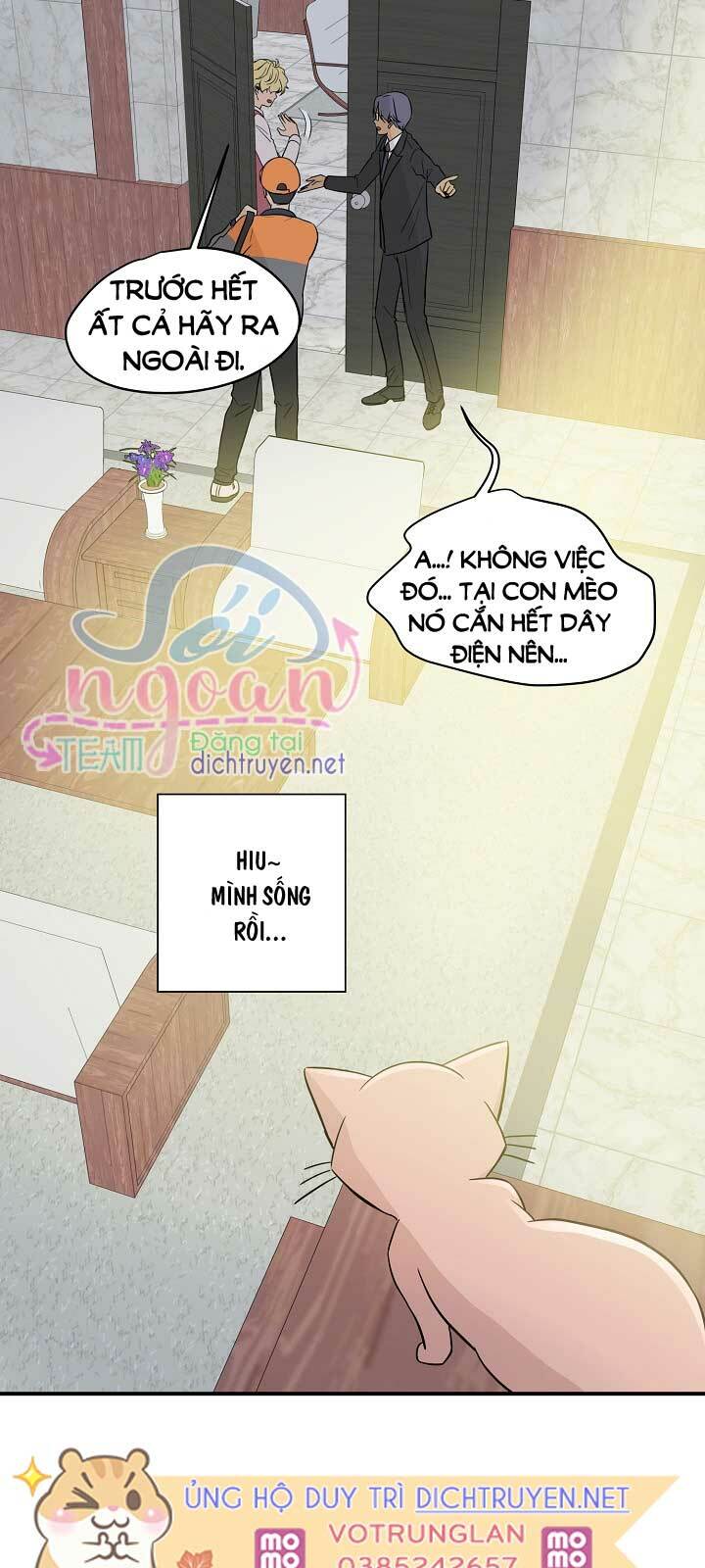 Cuộc sống kỳ thú: Chapter 11