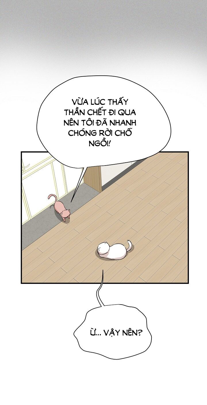 Cuộc sống kỳ thú: Chapter 45