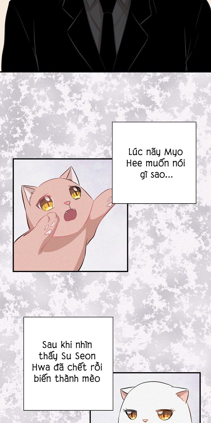 Cuộc sống kỳ thú: Chapter 45