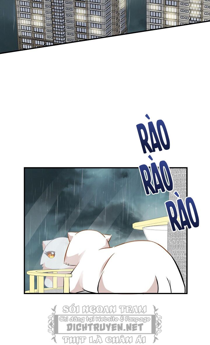 Cuộc sống kỳ thú: Chapter 46