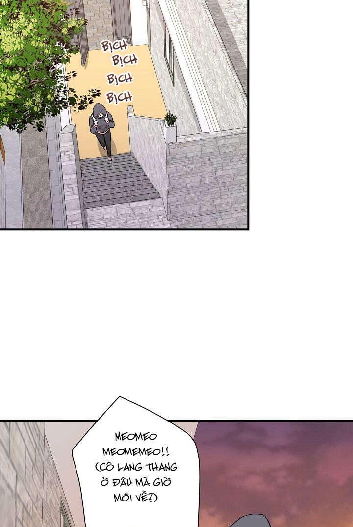 Cuộc sống kỳ thú: Chapter 52
