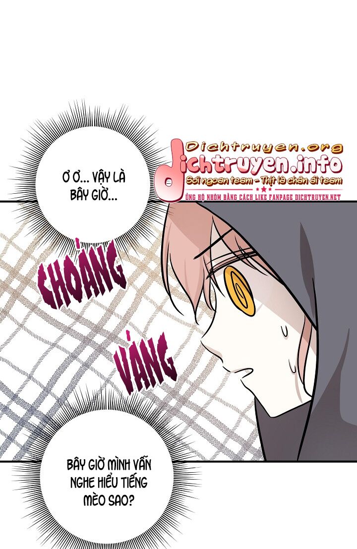 Cuộc sống kỳ thú: Chapter 52