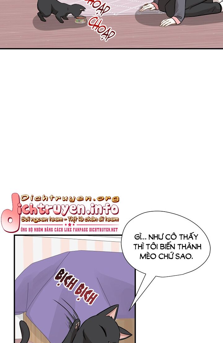 Cuộc sống kỳ thú: Chapter 52