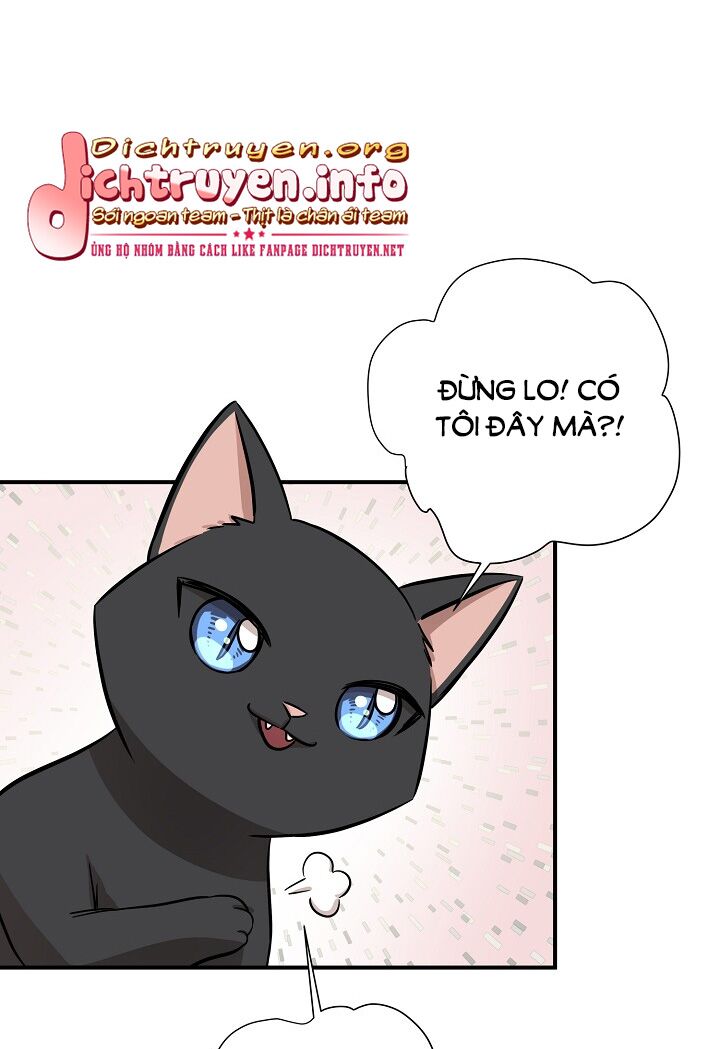 Cuộc sống kỳ thú: Chapter 52