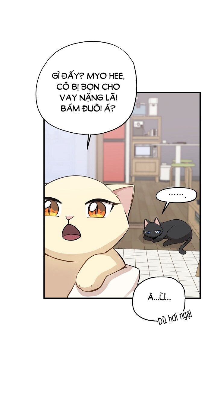 Cuộc sống kỳ thú: Chapter 60