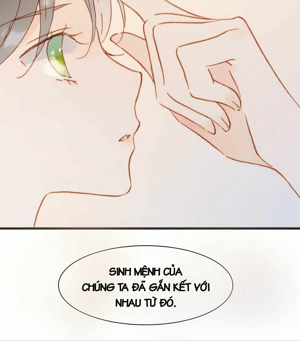 Tiếng Đàn Lặng Câm Giữa Lòng Vũ Trụ: Chapter 16