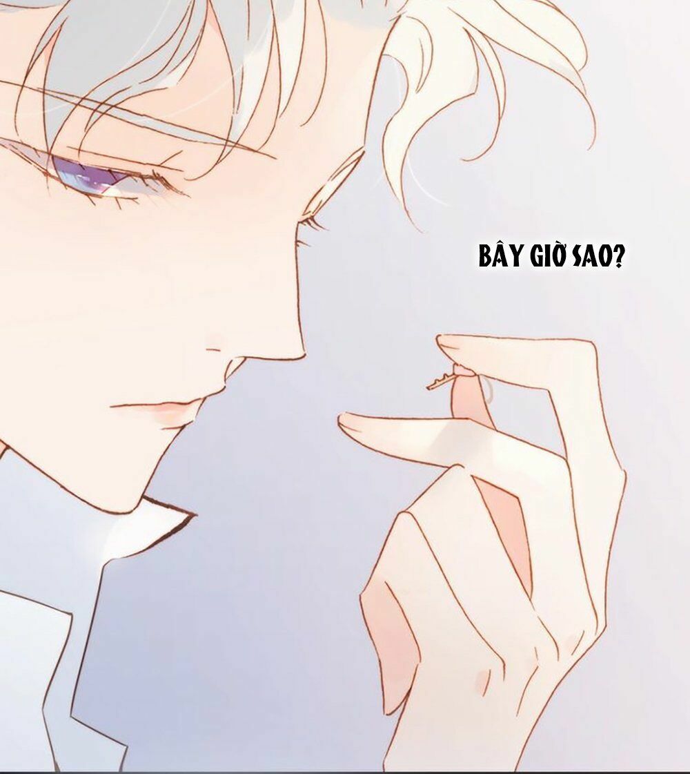 Tiếng Đàn Lặng Câm Giữa Lòng Vũ Trụ: Chapter 39