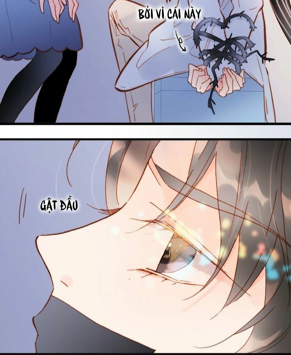 Tiếng Đàn Lặng Câm Giữa Lòng Vũ Trụ: Chapter 48