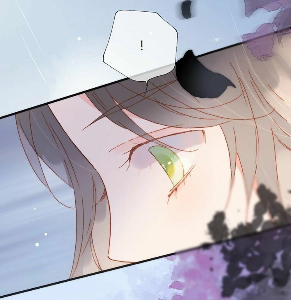 Tiếng Đàn Lặng Câm Giữa Lòng Vũ Trụ: Chapter 52