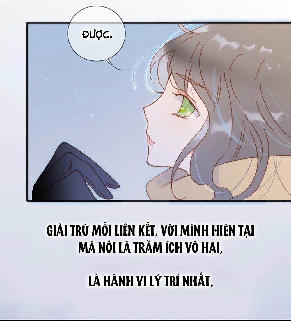 Tiếng Đàn Lặng Câm Giữa Lòng Vũ Trụ: Chapter 61