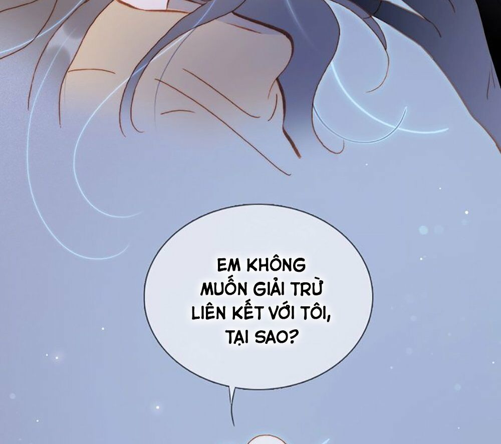 Tiếng Đàn Lặng Câm Giữa Lòng Vũ Trụ: Chapter 61