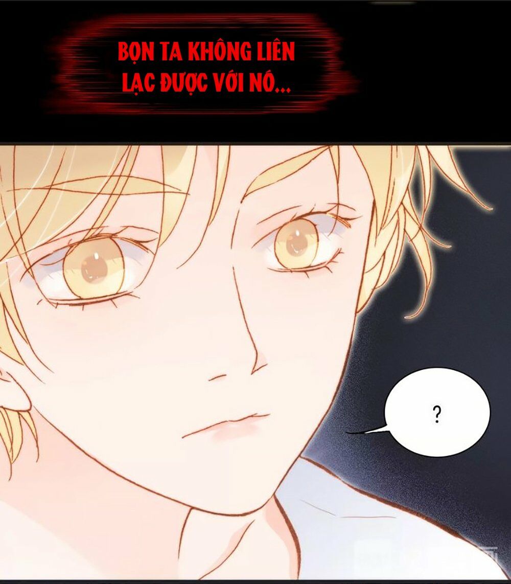 Tiếng Đàn Lặng Câm Giữa Lòng Vũ Trụ: Chapter 61