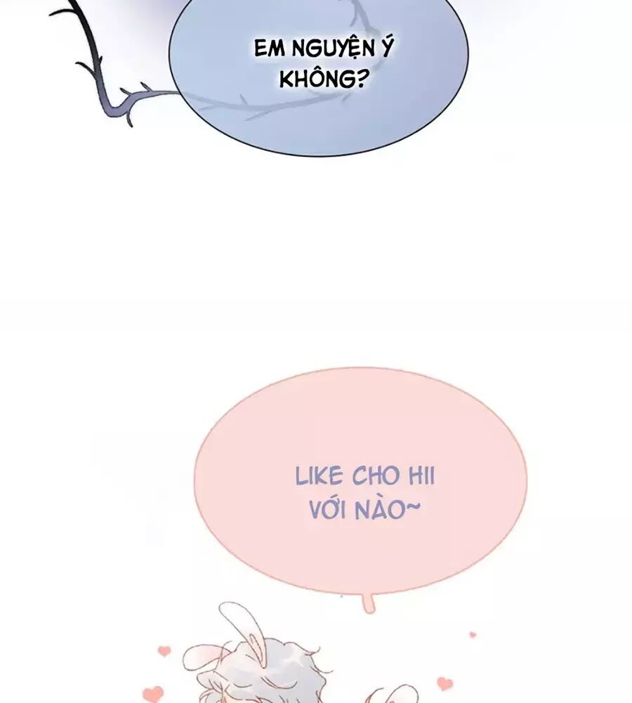 Tiếng Đàn Lặng Câm Giữa Lòng Vũ Trụ: Chapter 65