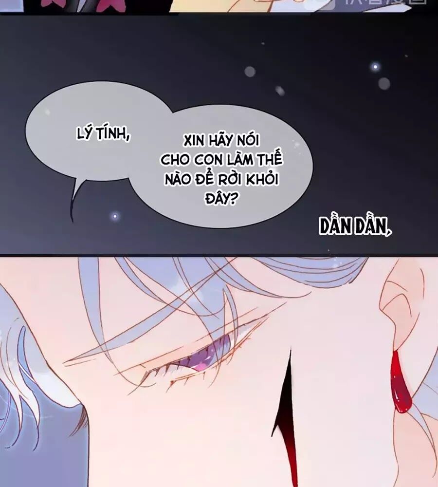 Tiếng Đàn Lặng Câm Giữa Lòng Vũ Trụ: Chapter 65