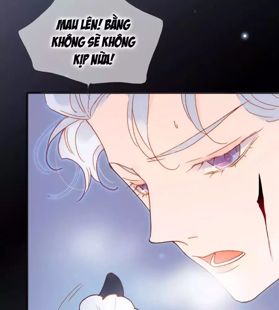 Tiếng Đàn Lặng Câm Giữa Lòng Vũ Trụ: Chapter 65