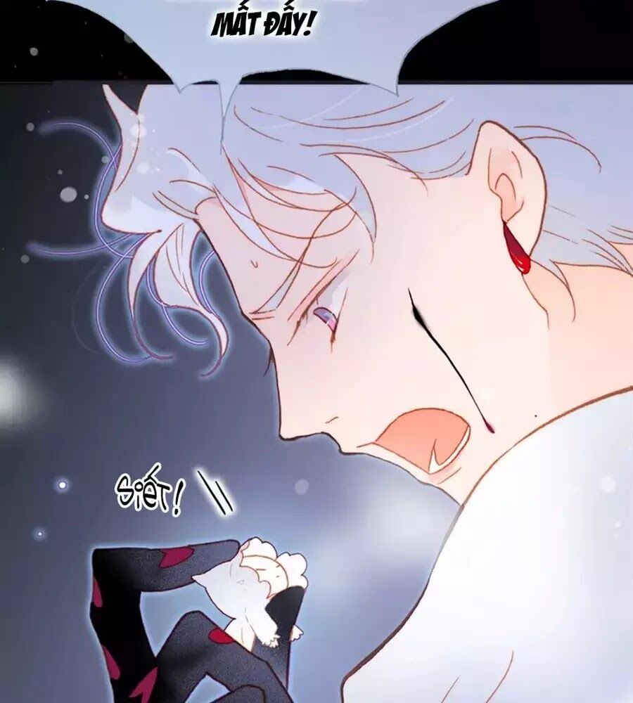Tiếng Đàn Lặng Câm Giữa Lòng Vũ Trụ: Chapter 65