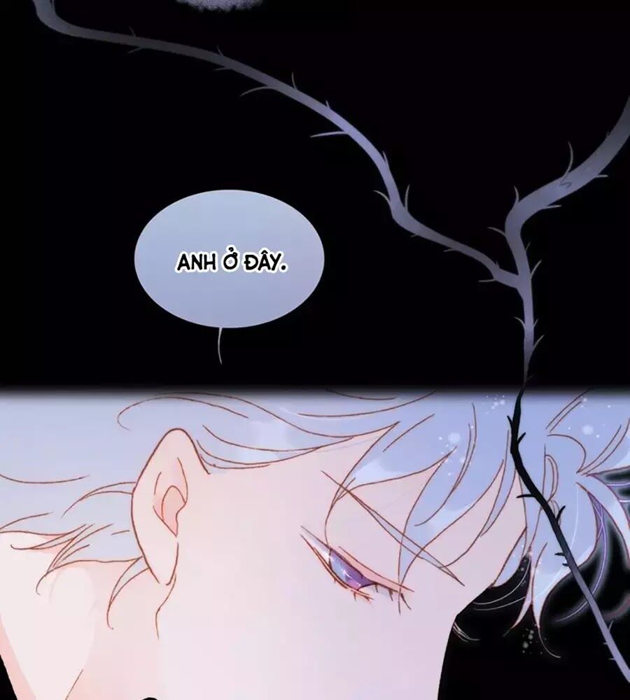 Tiếng Đàn Lặng Câm Giữa Lòng Vũ Trụ: Chapter 65