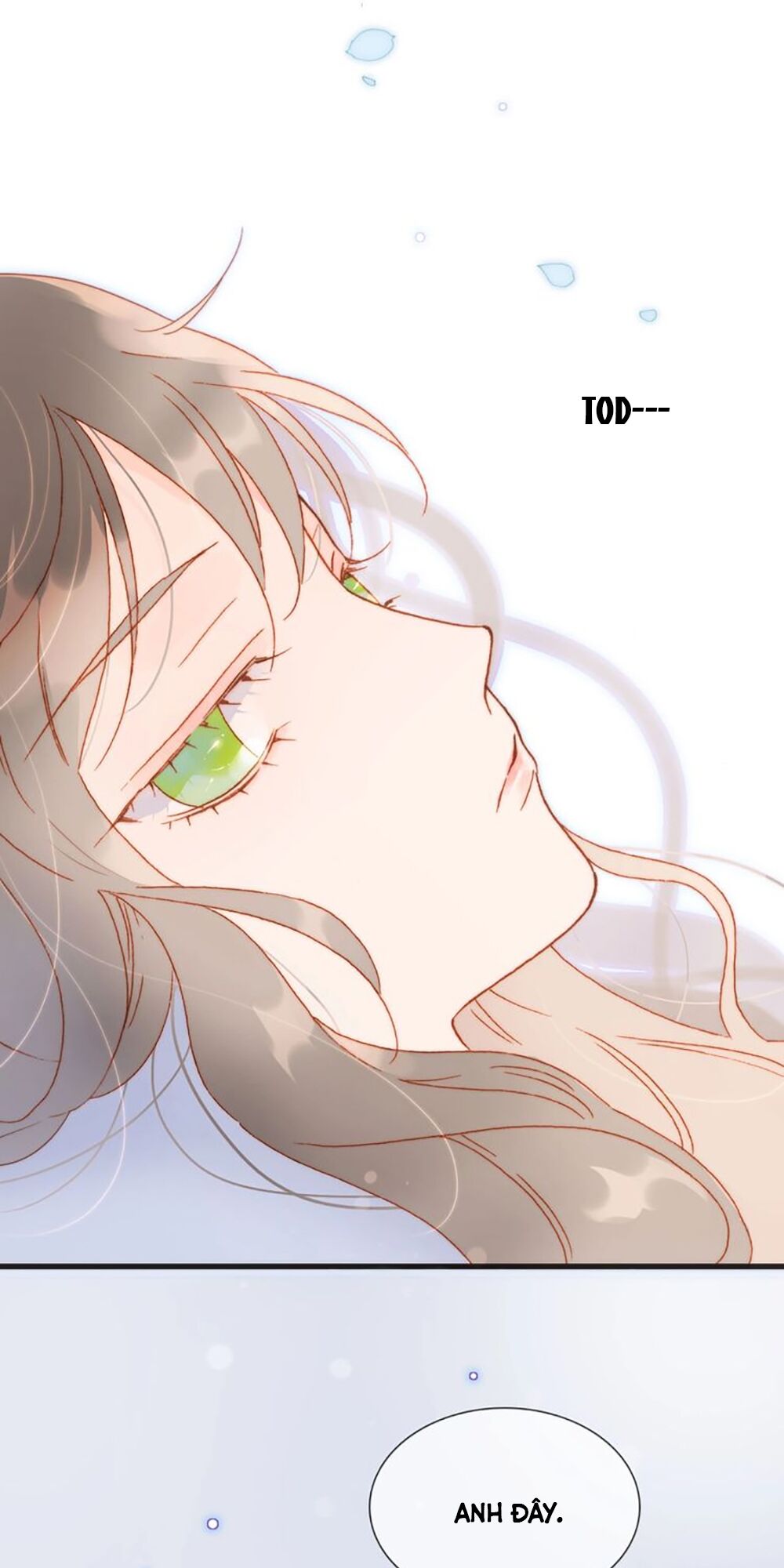 Tiếng Đàn Lặng Câm Giữa Lòng Vũ Trụ: Chapter 67