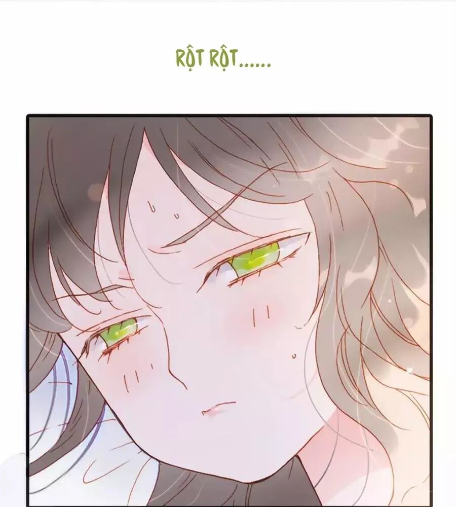 Tiếng Đàn Lặng Câm Giữa Lòng Vũ Trụ: Chapter 68