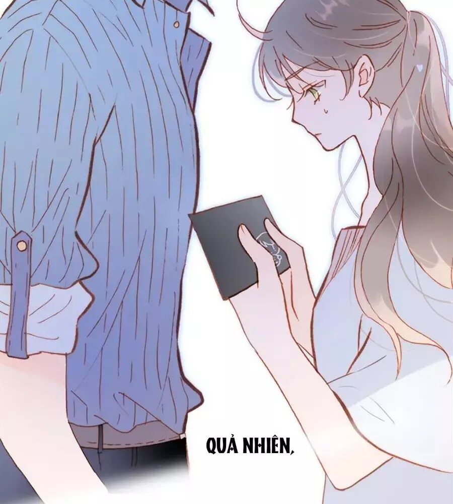 Tiếng Đàn Lặng Câm Giữa Lòng Vũ Trụ: Chapter 71