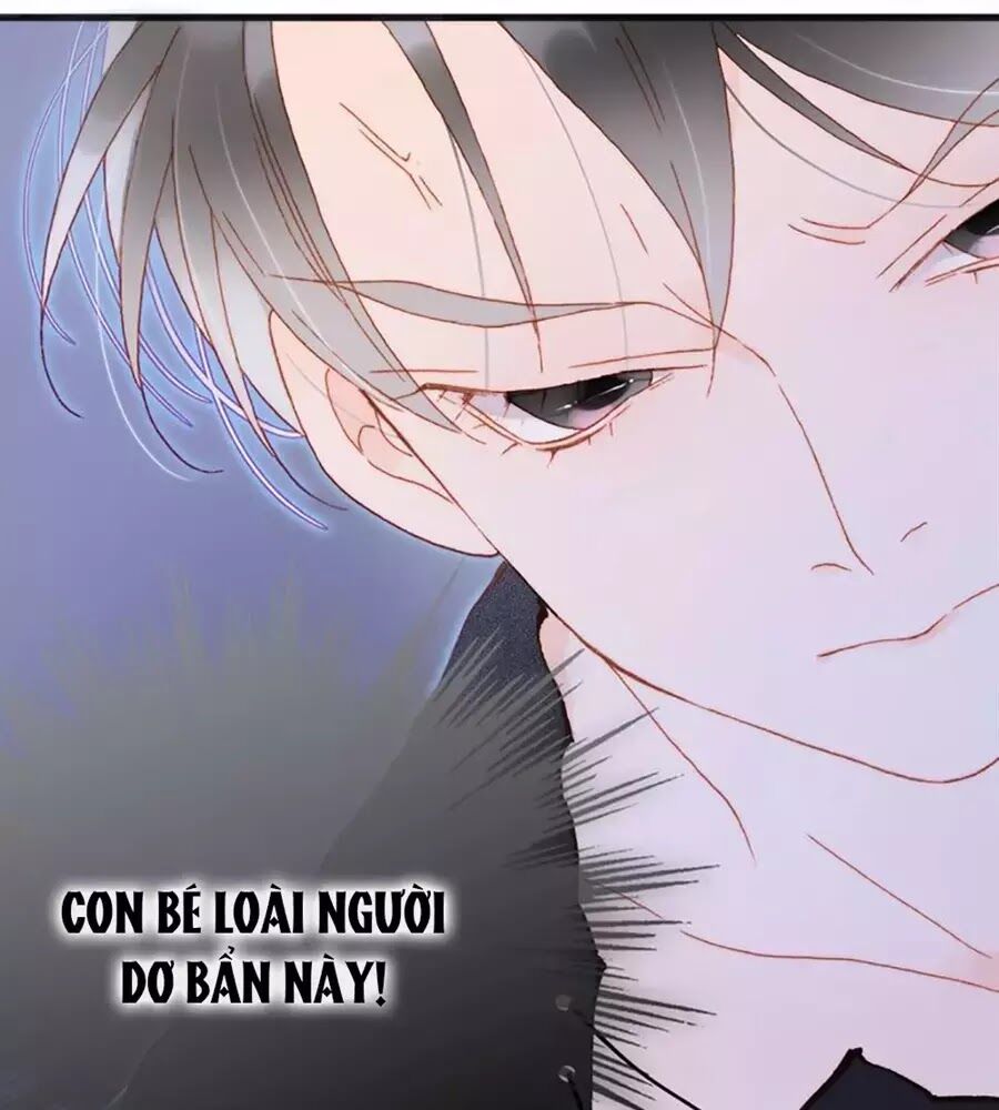 Tiếng Đàn Lặng Câm Giữa Lòng Vũ Trụ: Chapter 71