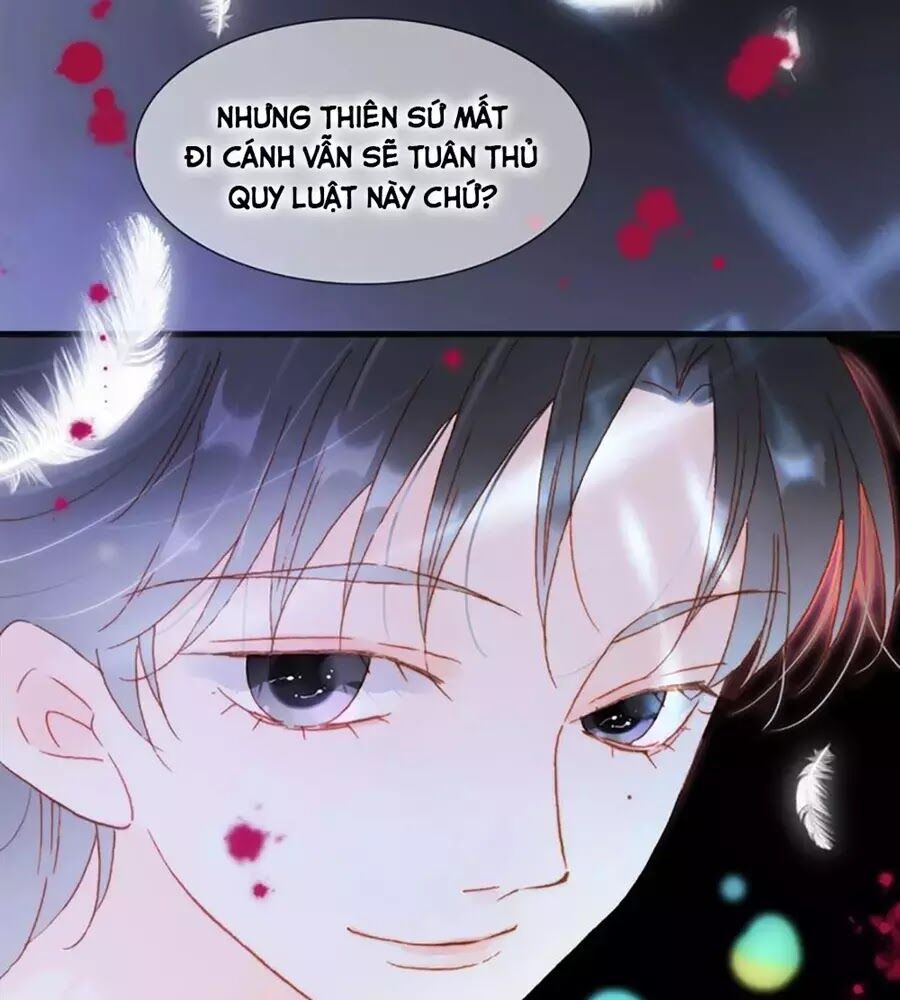 Tiếng Đàn Lặng Câm Giữa Lòng Vũ Trụ: Chapter 75