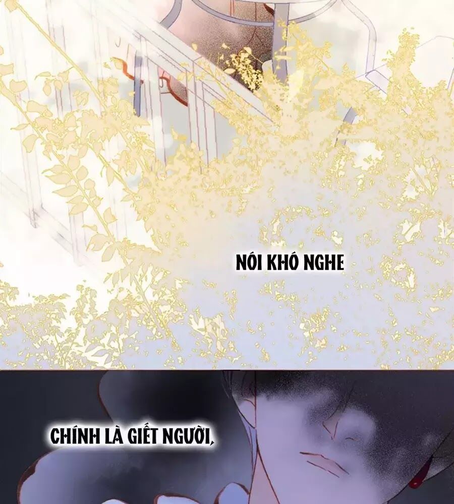Tiếng Đàn Lặng Câm Giữa Lòng Vũ Trụ: Chapter 75